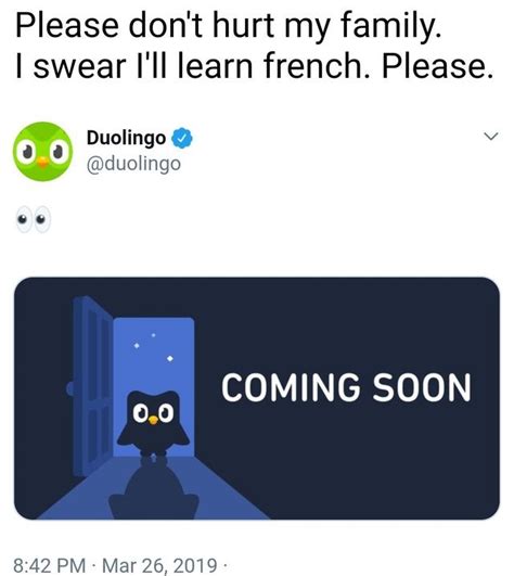 duolingo french meme